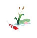 Aquatic Life